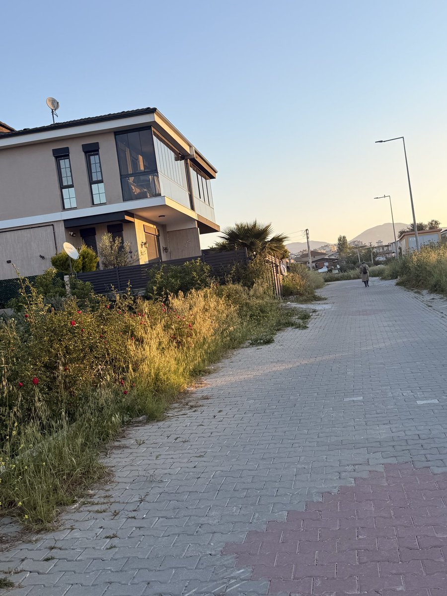 mlsytg's tweet photo. Ayrancılar inönü mahallesinde yabani otlar sokaklara taşmış durumda. Sinek ve böcekler de çoğaldı. Konuyla ilgili yardımcı olur musunuz @torbalibelediye @izmirbld https://t.co/BmVP5hZKOG