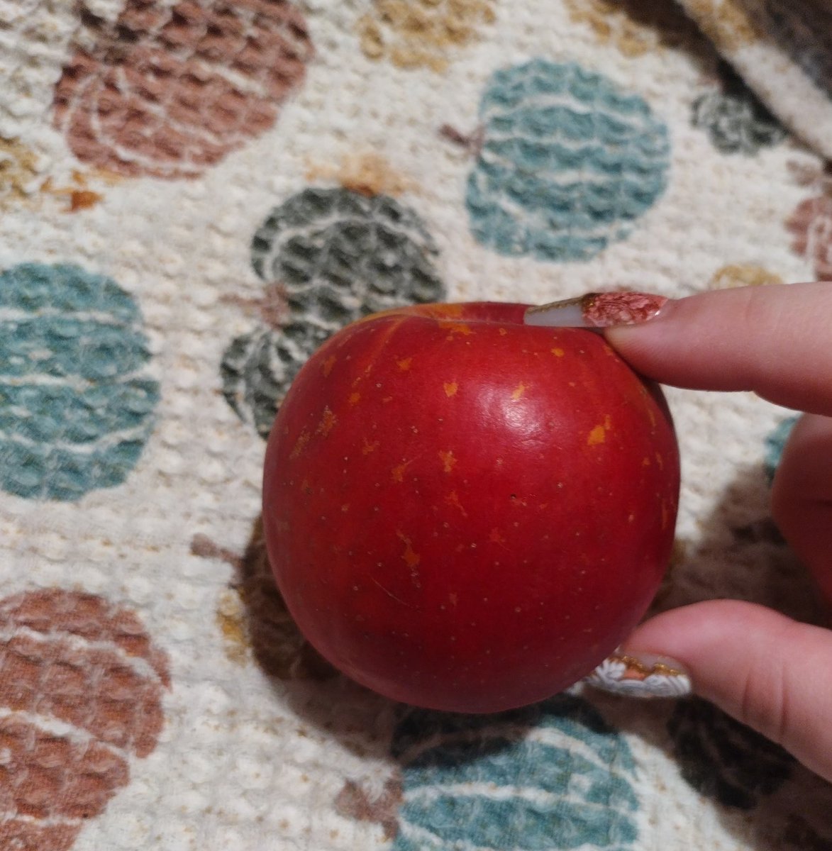 nailea (no. 1 malim fan) tweet media