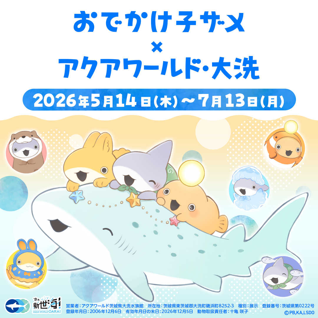 アクアワールド茨城県大洗水族館 tweet media