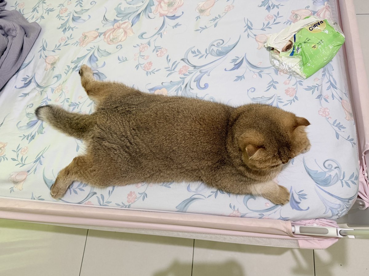 Nastar & Kara tweet media