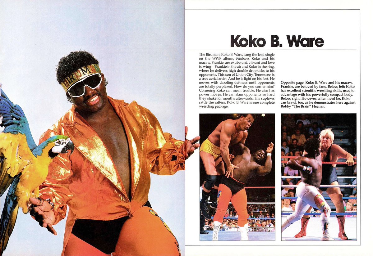 WWFWrestling1's tweet image. Profile of Koko B. Ware from WWF Superstars III magazine published in 1988. 🦜 #WWF #WWE #Wrestling #KokoBWare