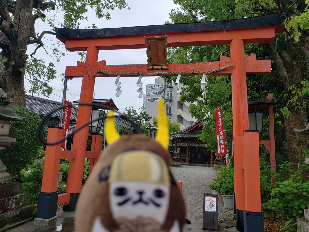 餅村(低浮上) tweet media