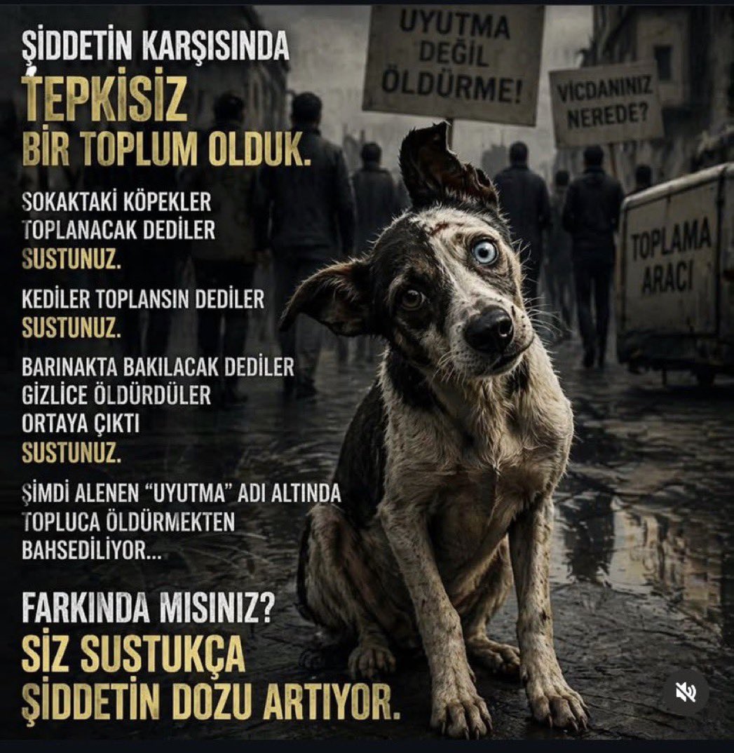 Demet ESREFOGLU V. tweet media