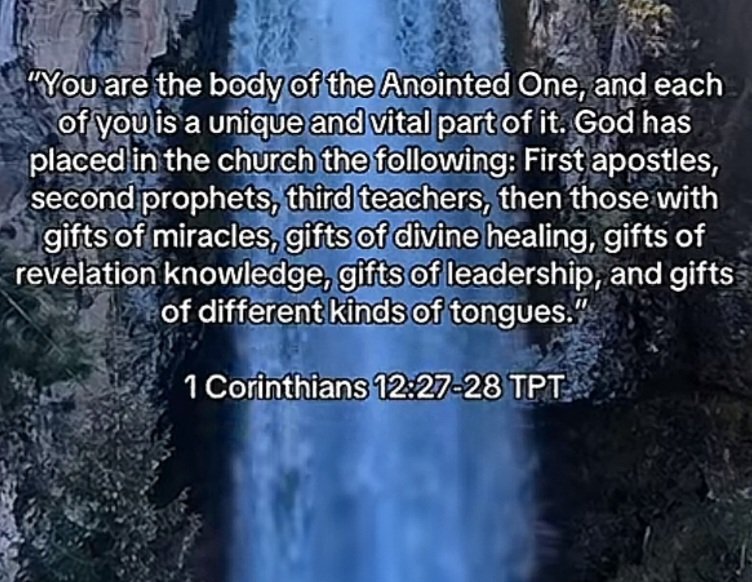 SaintAnthonyIII's tweet photo. https://t.co/G6MXzqn2eW