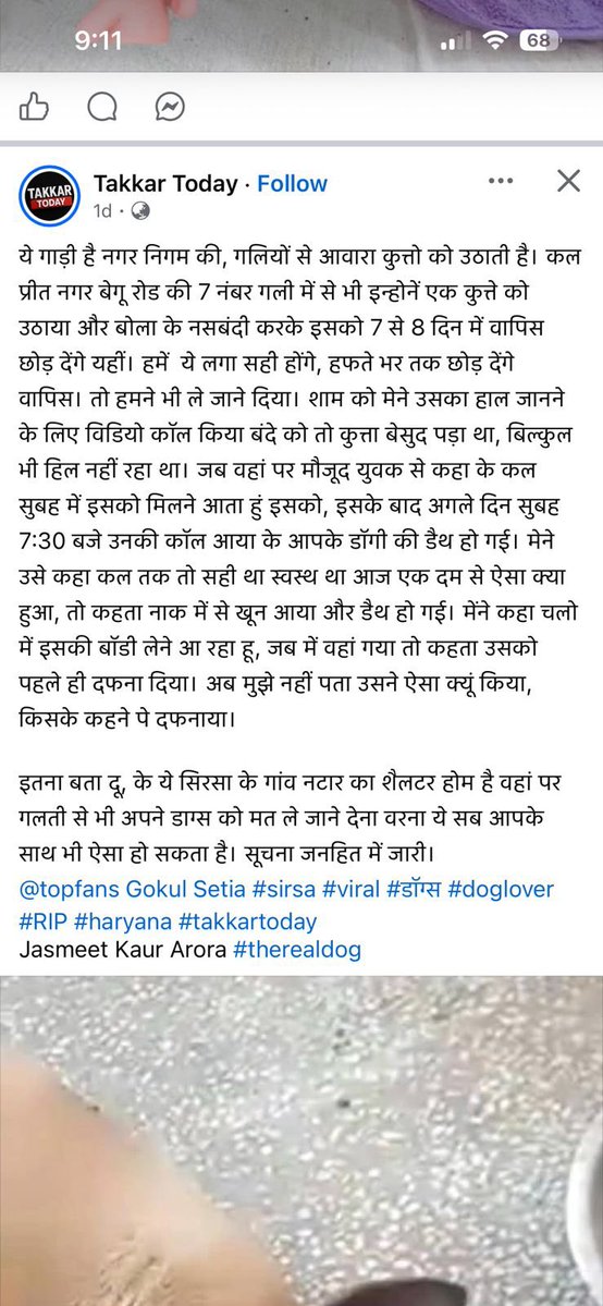 voiceforanimals11 tweet media