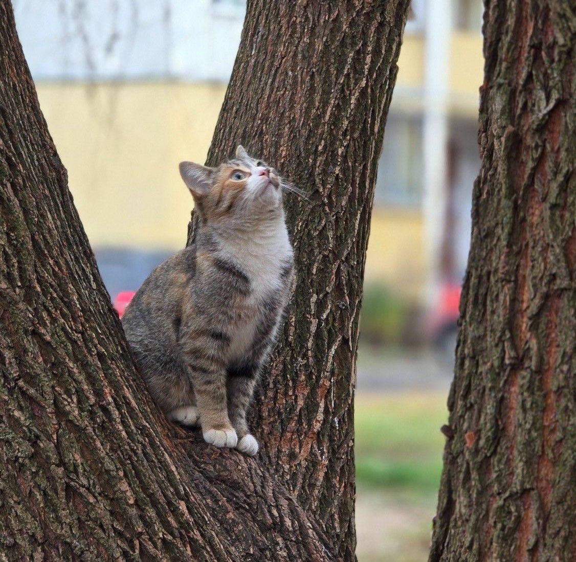 FAALİYET RAPORU tweet media