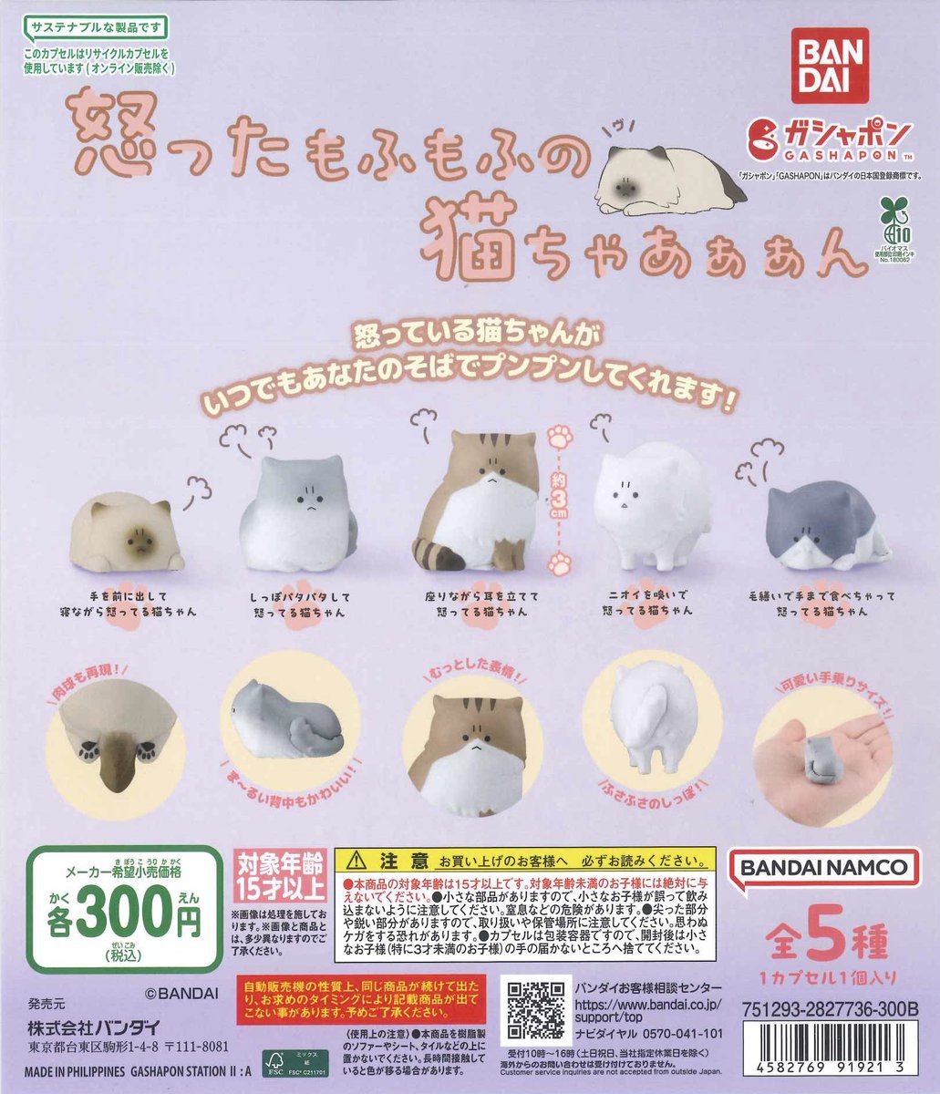 🌸新入荷商品🌸 ☑︎ 怒ったもふもふの猫ちゃあぁぁん ☑︎ GALS!あそ
