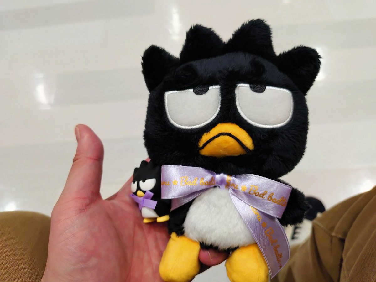 どーも tweet media