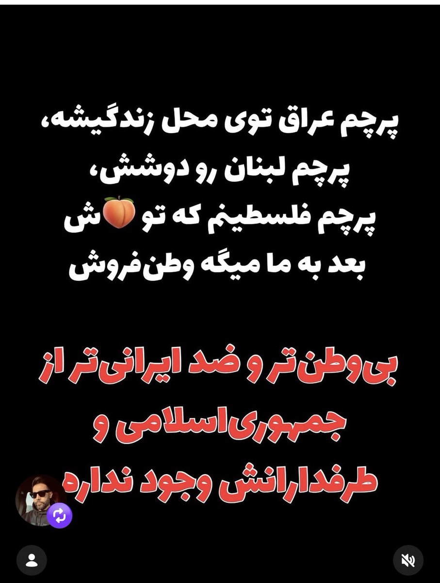 Shaghayegh tweet media