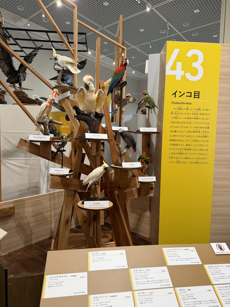 か り ん tweet media
