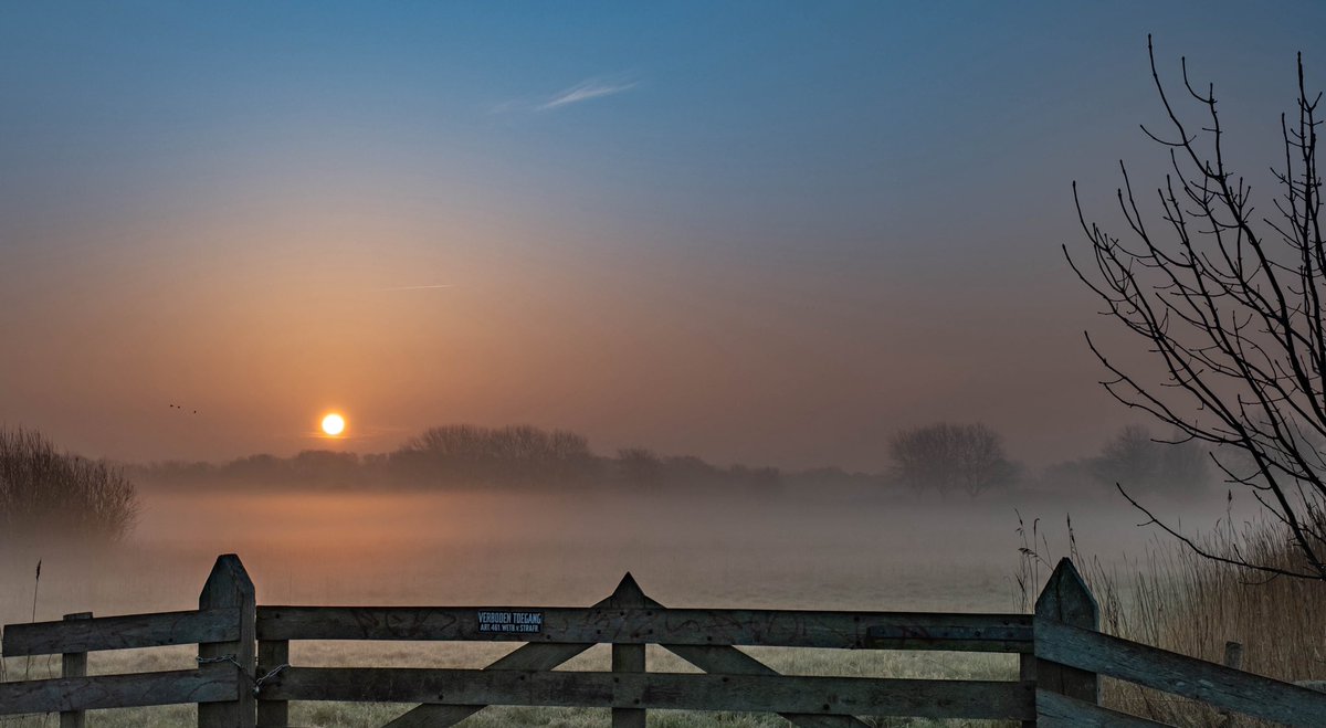 Ⓜ️arcel ☺️ tweet media