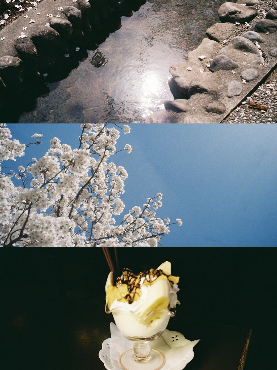 shiroi_howahowa's tweet image. #film