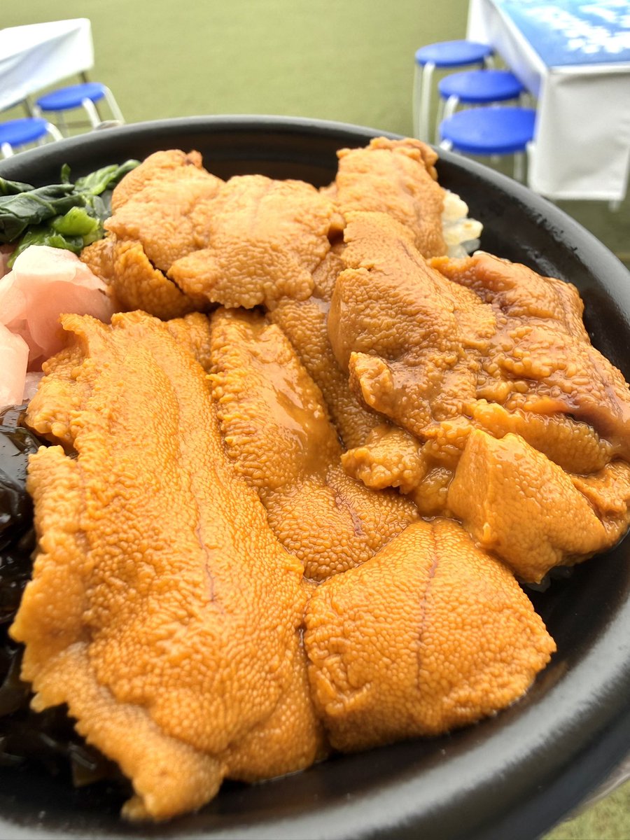 ちょんぴん tweet media