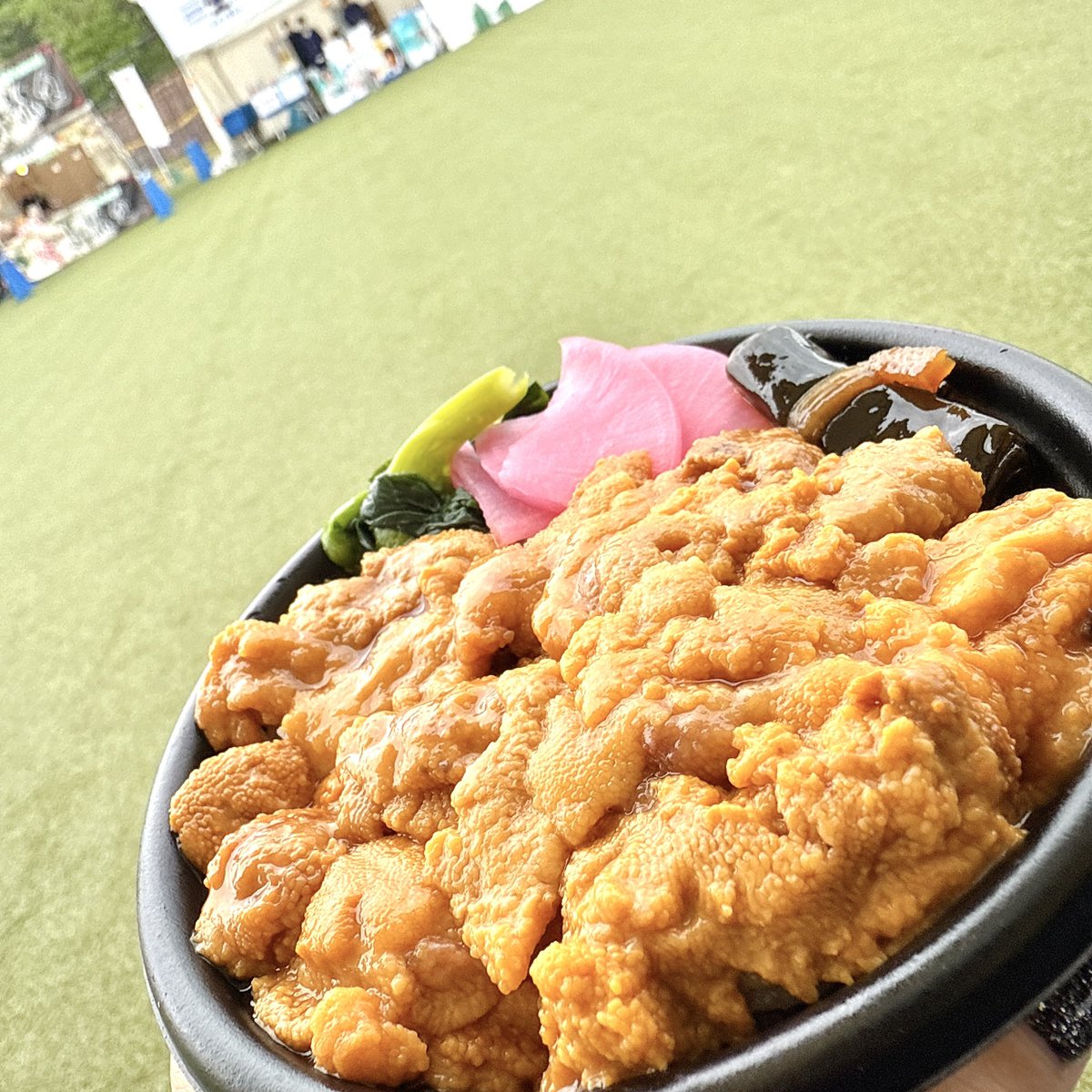 ちょんぴん tweet media
