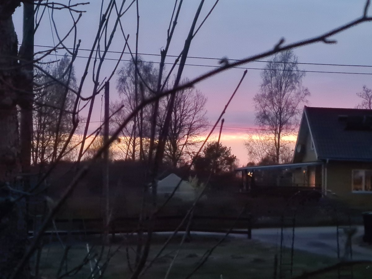 Sunnigs Gmüet 🇸🇪 🪡 🧶 tweet media