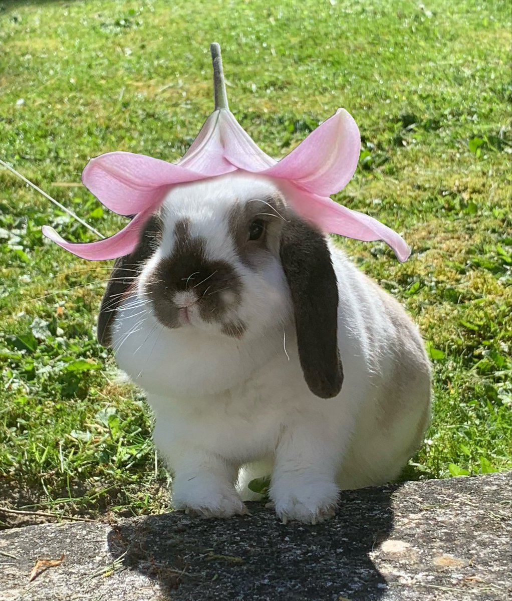 jodie ꕤ🫧 saw ari x3 tweet media