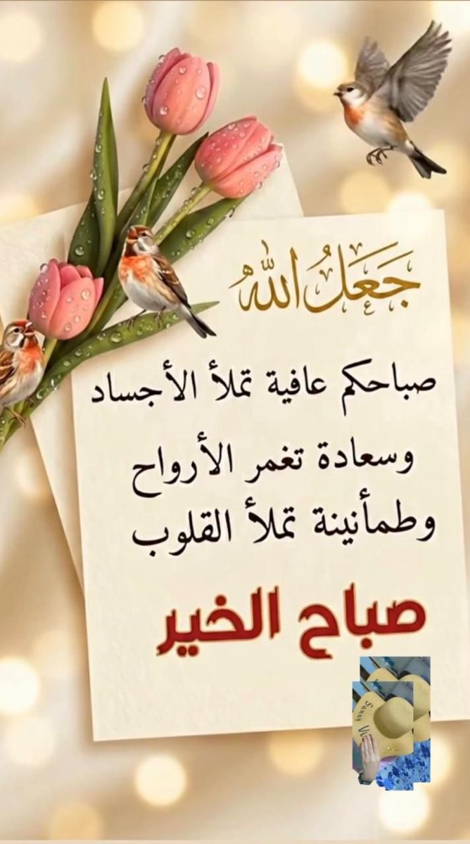 مبارك محمد المياح tweet media