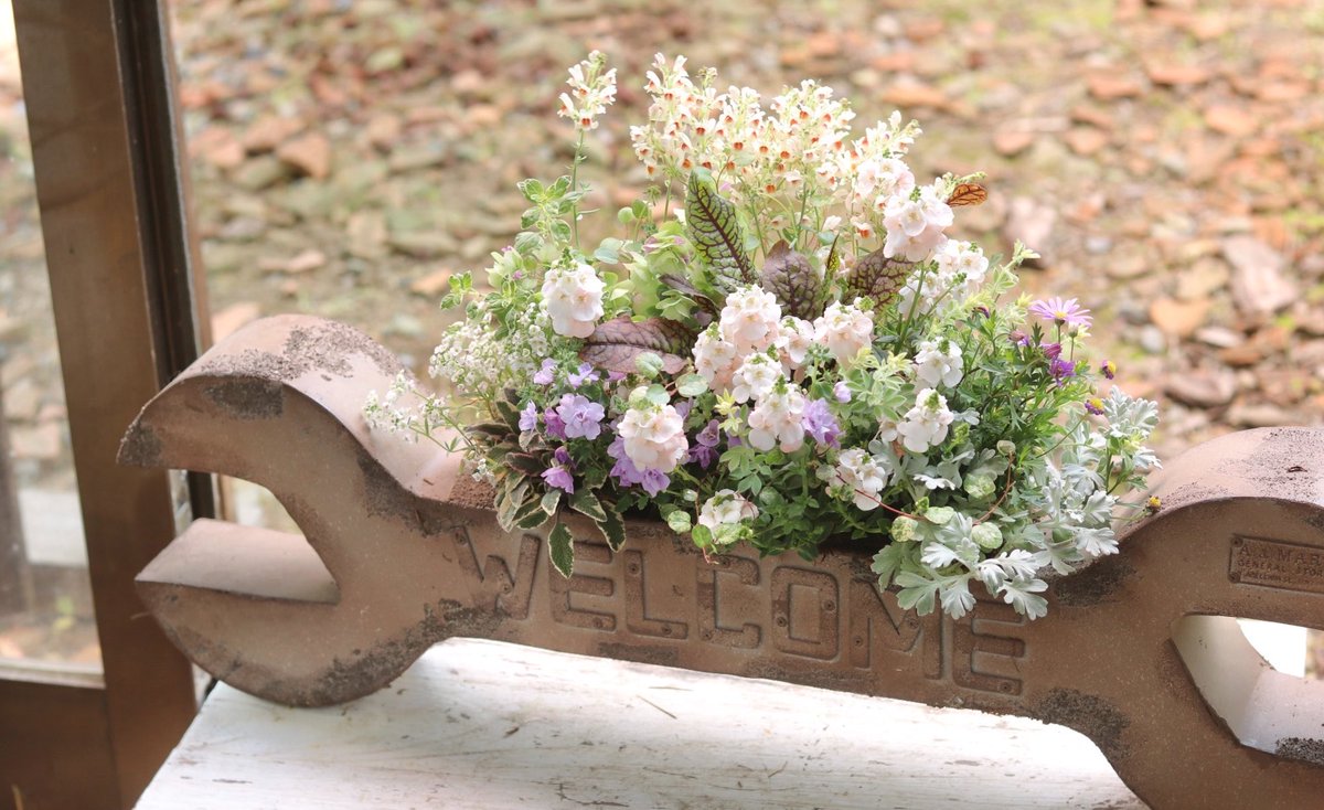 お庭とお花　はなんぼ tweet media