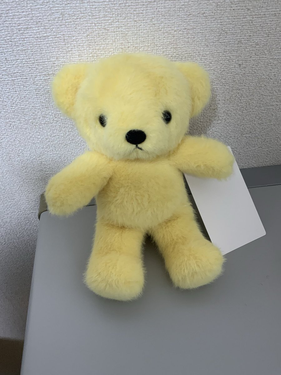 ぬいぐるみの童心【公式】🥺 tweet media