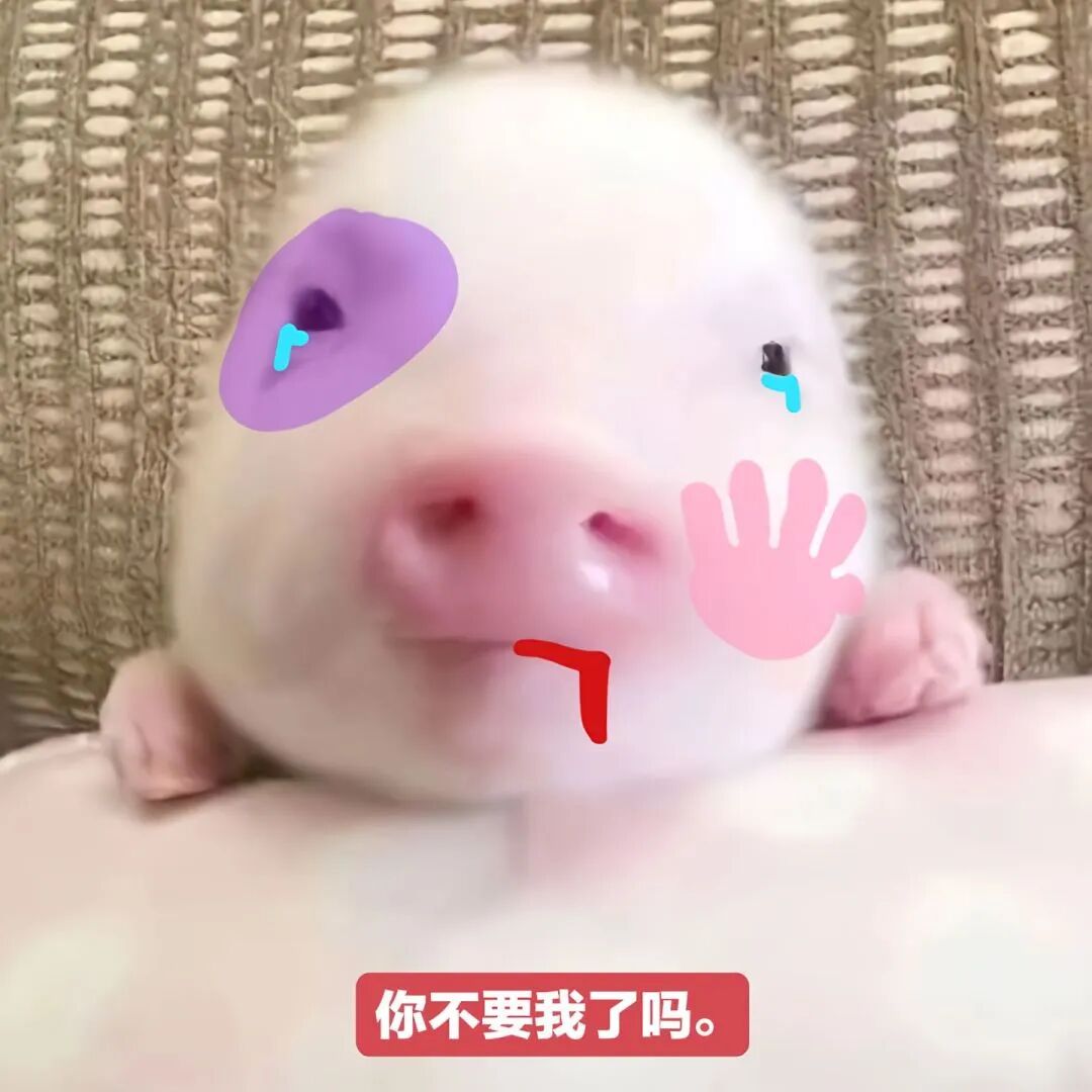 装鱿鱼被炒 tweet media