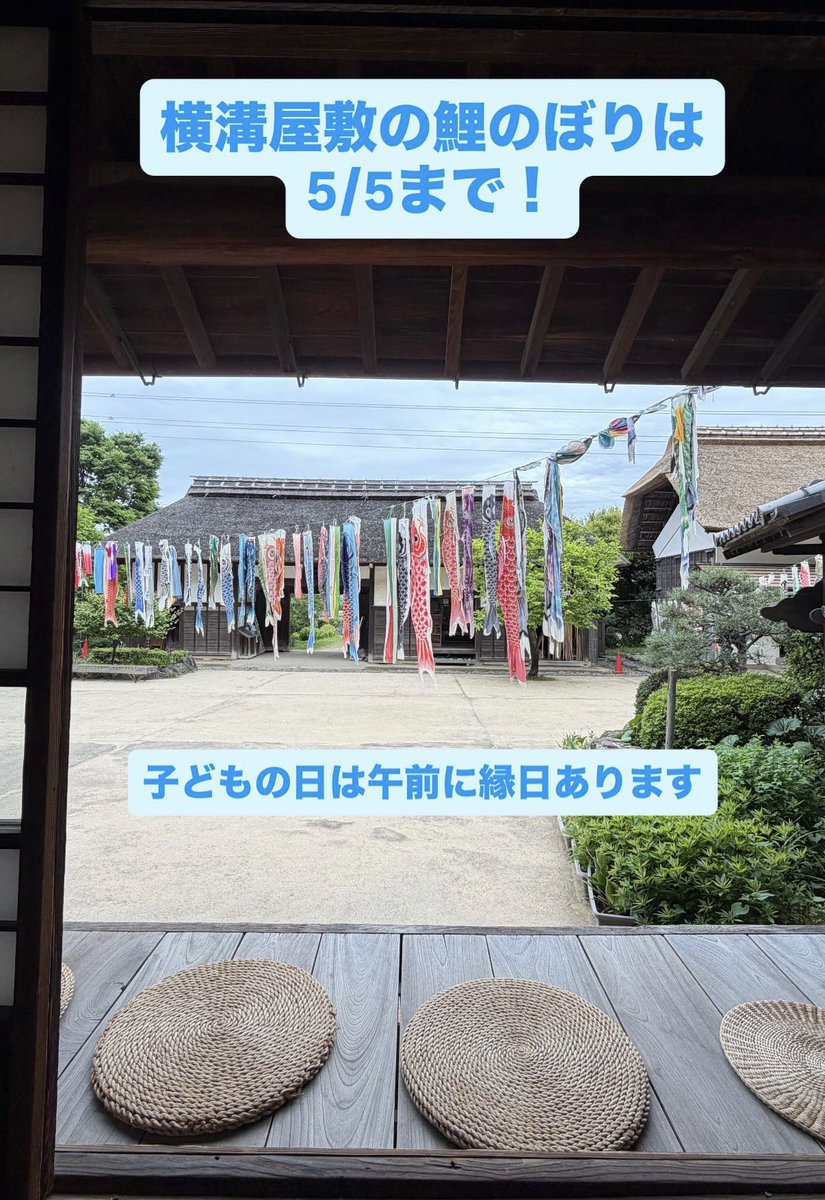 柏原すぐる(横浜市議/鶴見区) tweet media