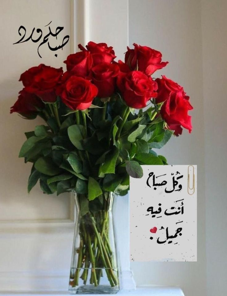 <a href="/shwwdh2001/">شهووده</a>