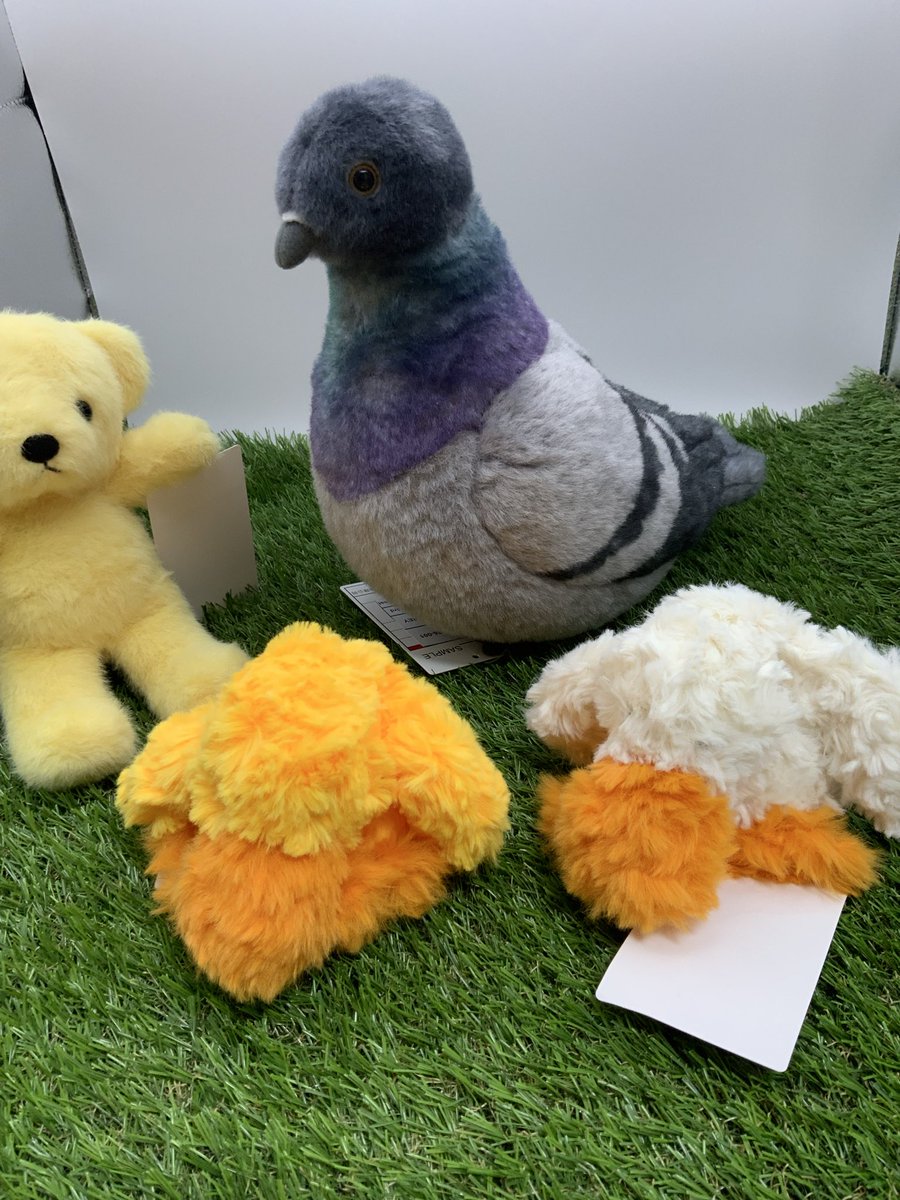ぬいぐるみの童心【公式】🥺 tweet media