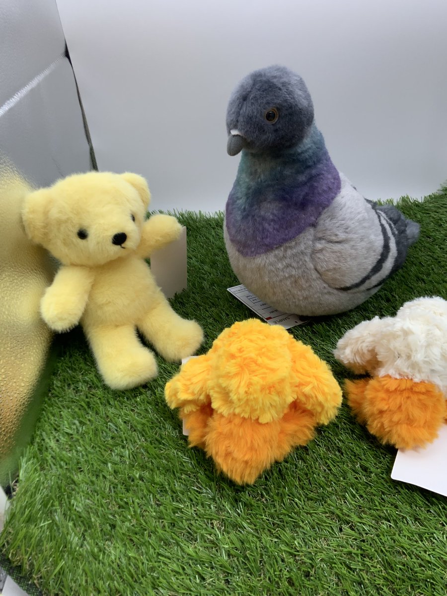 ぬいぐるみの童心【公式】🥺 tweet media
