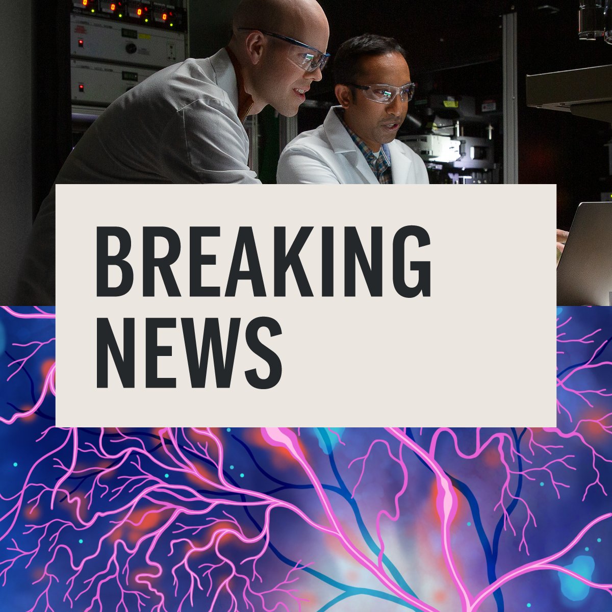 Genentech tweet media