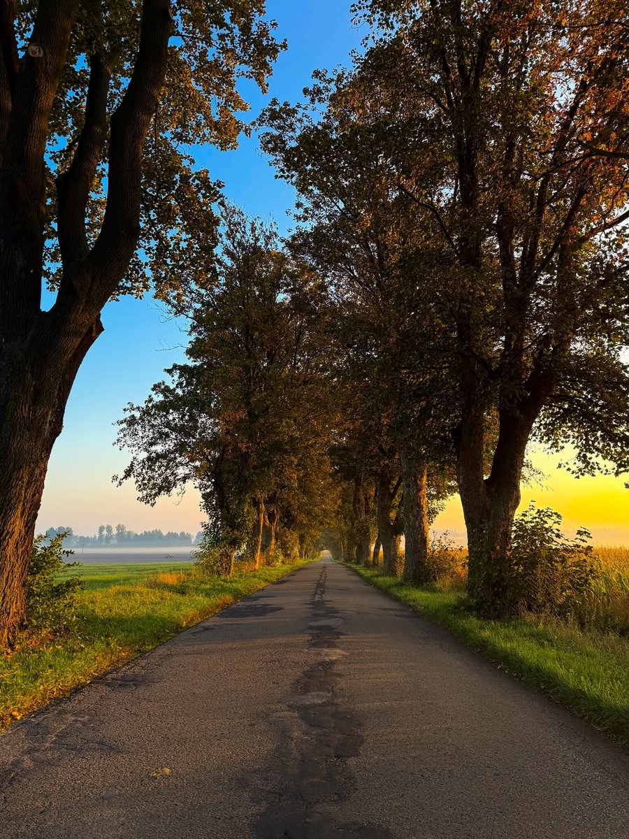 Larry Jones tweet media