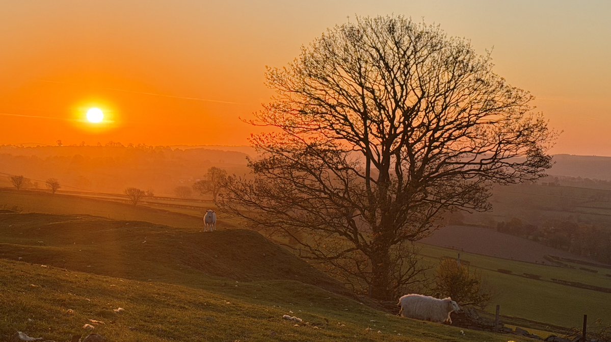 Aneedtopaint's tweet image. Another beautiful start to the day. ☀️ #Shropshire