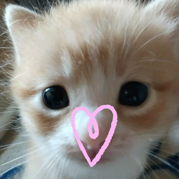 ale⁷ VA A VER A BTS CTMR 🇵🇪🇵🇪🇵🇪 tweet media