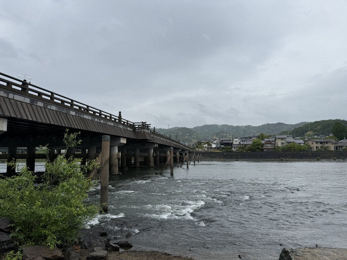 おっくー tweet media