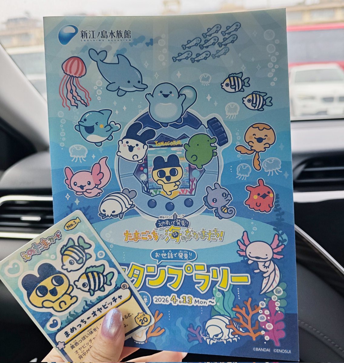 caroppii's tweet photo. えのすいたまパラコラボやっと行けたー！間に合って良かった🐬︎🌟 https://t.co/GI9eLQvopG