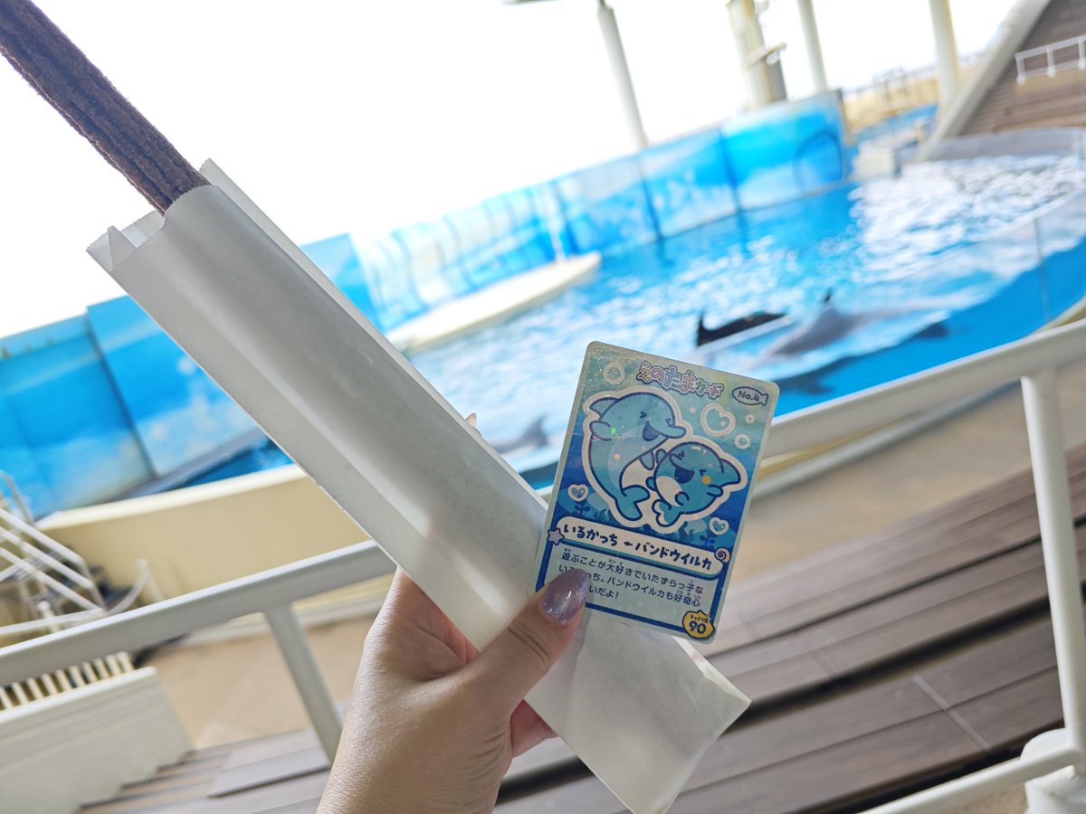 caroppii's tweet photo. えのすいたまパラコラボやっと行けたー！間に合って良かった🐬︎🌟 https://t.co/GI9eLQvopG
