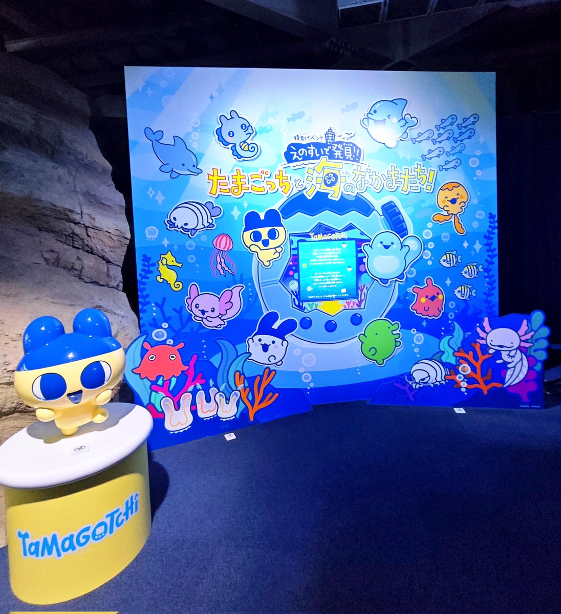 caroppii's tweet photo. えのすいたまパラコラボやっと行けたー！間に合って良かった🐬︎🌟 https://t.co/GI9eLQvopG