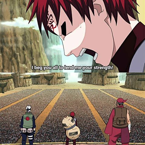 shin0x🇵🇸 tweet media