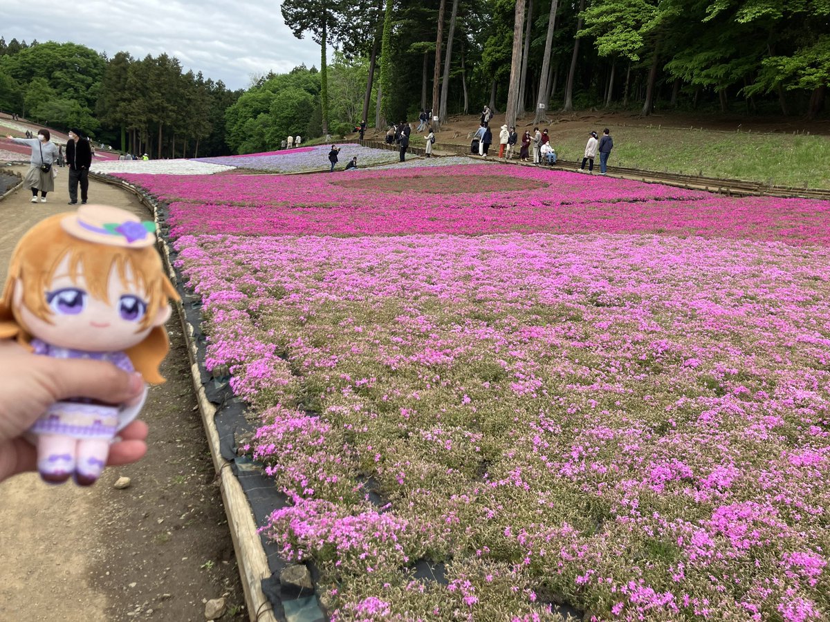IieqBR0JDwLIm6B's tweet photo. 秩父・芝桜の丘から離脱します。
彼方ちゃんと一緒にTVアニメ『上伊那ぼたん酔へる姿は百合の花』の聖地を巡りながら
探索して芝桜は散り始めたけどまだまだ綺麗に咲いてたので良かったです。
でもまだアニメ上伊那ぼたんの聖地巡って行くよ‼️ https://t.co/0WP1O2BsP1