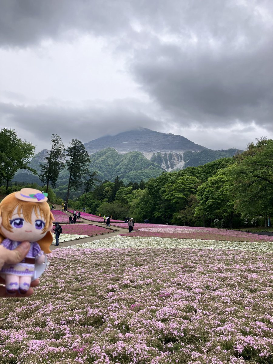 IieqBR0JDwLIm6B's tweet photo. 秩父・芝桜の丘から離脱します。
彼方ちゃんと一緒にTVアニメ『上伊那ぼたん酔へる姿は百合の花』の聖地を巡りながら
探索して芝桜は散り始めたけどまだまだ綺麗に咲いてたので良かったです。
でもまだアニメ上伊那ぼたんの聖地巡って行くよ‼️ https://t.co/0WP1O2BsP1