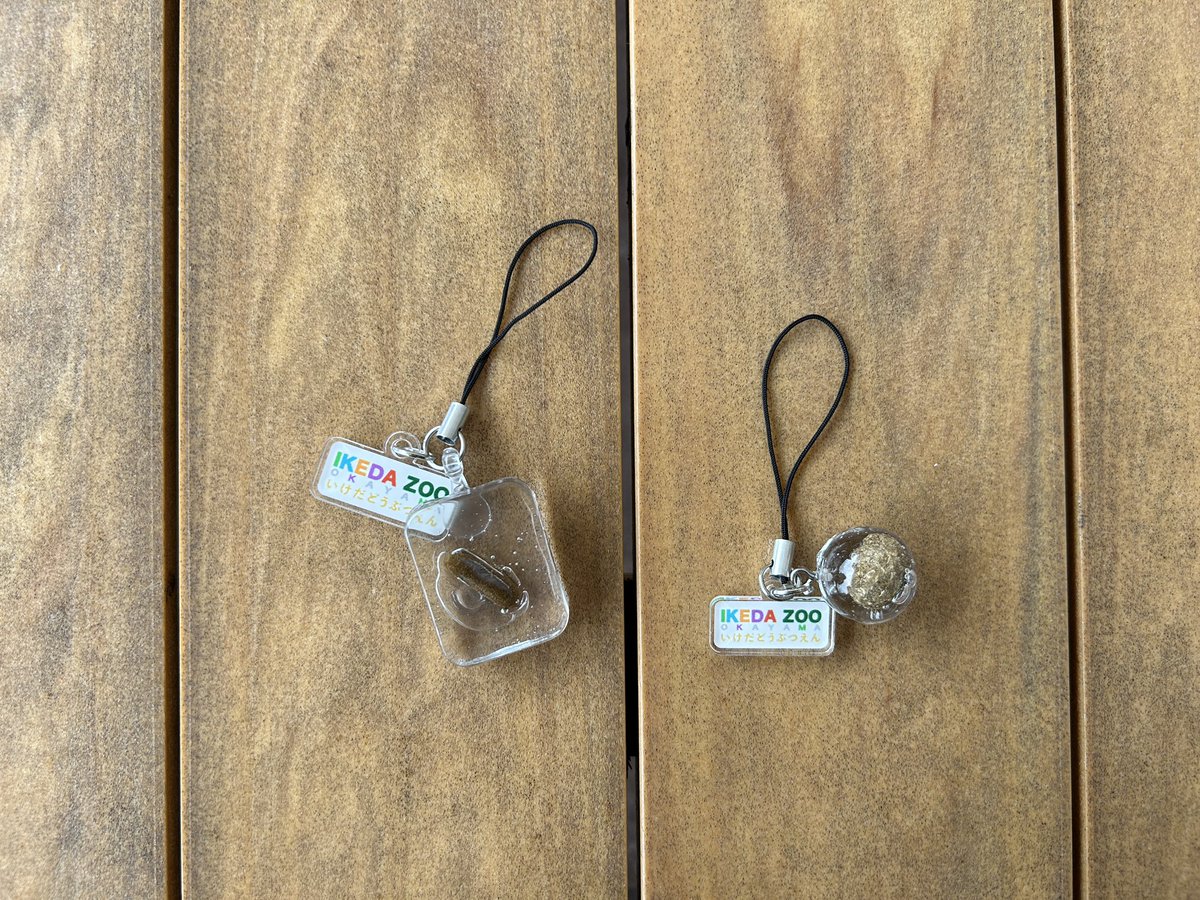 LOVE_IKEDAZOO's tweet photo. 【5/2〜うんこグッズ販売‼️】

ホンモノのウサギ&amp;モルモットのうんこを使用したキーホルダーが、満を持して登場…！！

GW特別企画『うんこ展』を記念した、期間限定グッズとなります💩

どうか…買ってください！！

#池田動物園 #岡山 #うんこ展 https://t.co/ETCBuMBsgr