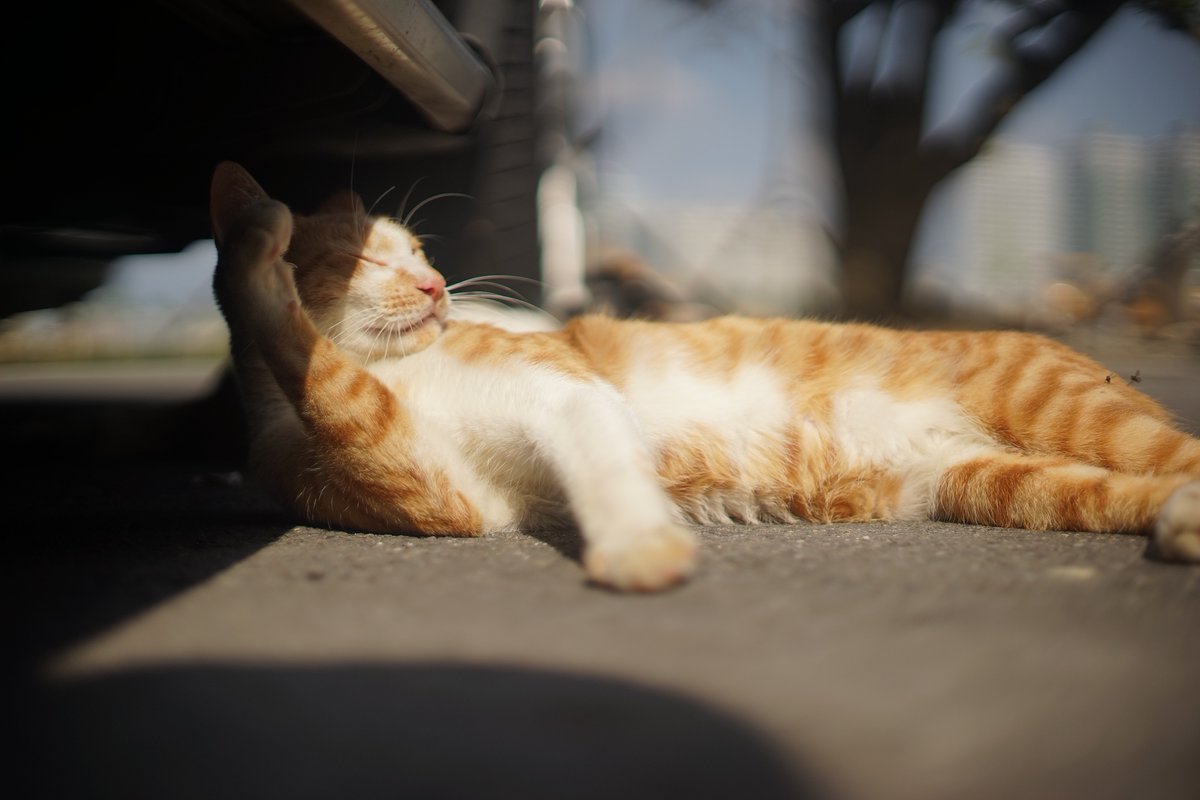 Déjate corregir tweet media