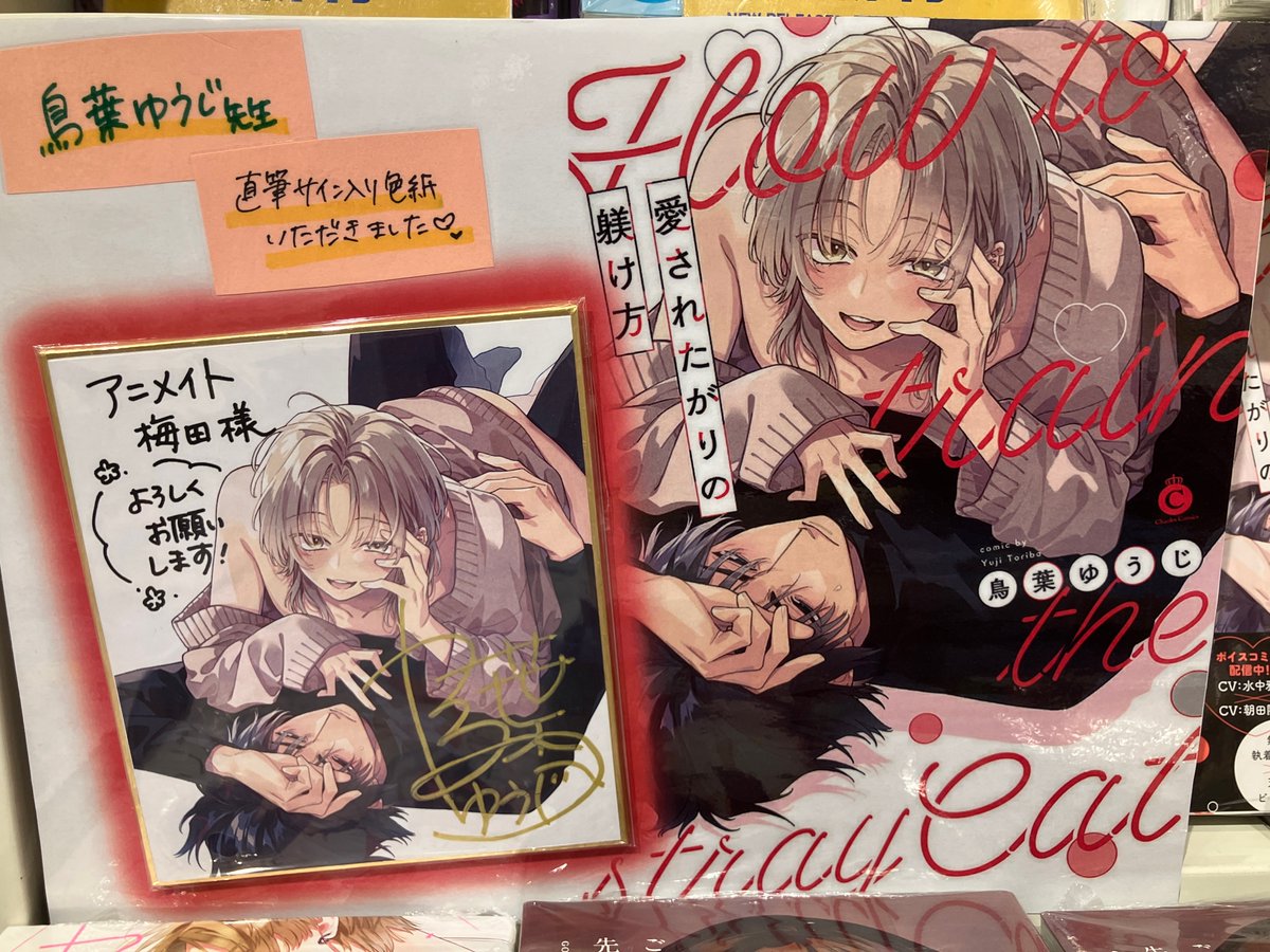 animateumeda's tweet photo. 【書籍新刊情報】
＃鳥葉ゆうじ 先生「愛されたがりの躾け方（仮）」
本日入荷しましたウメ💞

特典は『メッセージペーパー＆リーフレット』をお渡し

先生より「直筆サイン入り色紙＆複製原画」を頂きました！ありがとうございます。

新刊コーナーにて展開しておりますのでぜひご来店くださいませ❣️ https://t.co/xVCC5NCc7o