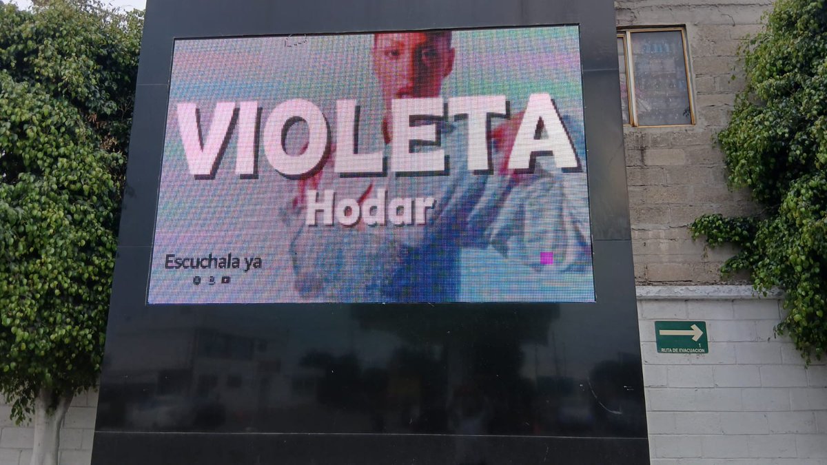 hola violeta tweet media