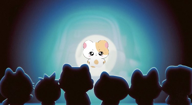 iris 🐈‍⬛ ⁷ tweet media