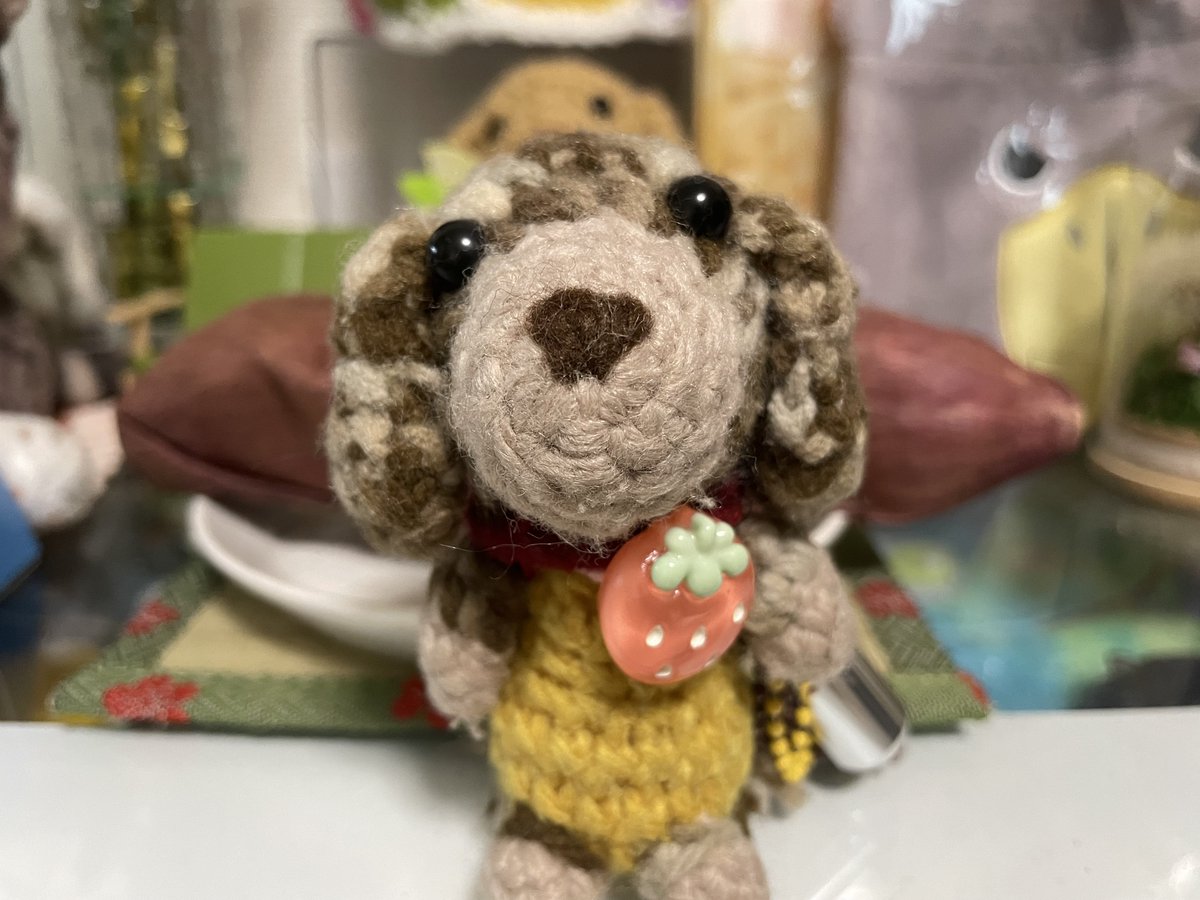 ビスコ🌈永遠の18歳Kﾀﾞｯｸｽ(๑´ω`๑) tweet media