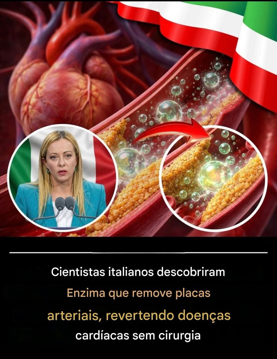 LORD NEWS BRASIL 🇧🇷 tweet media