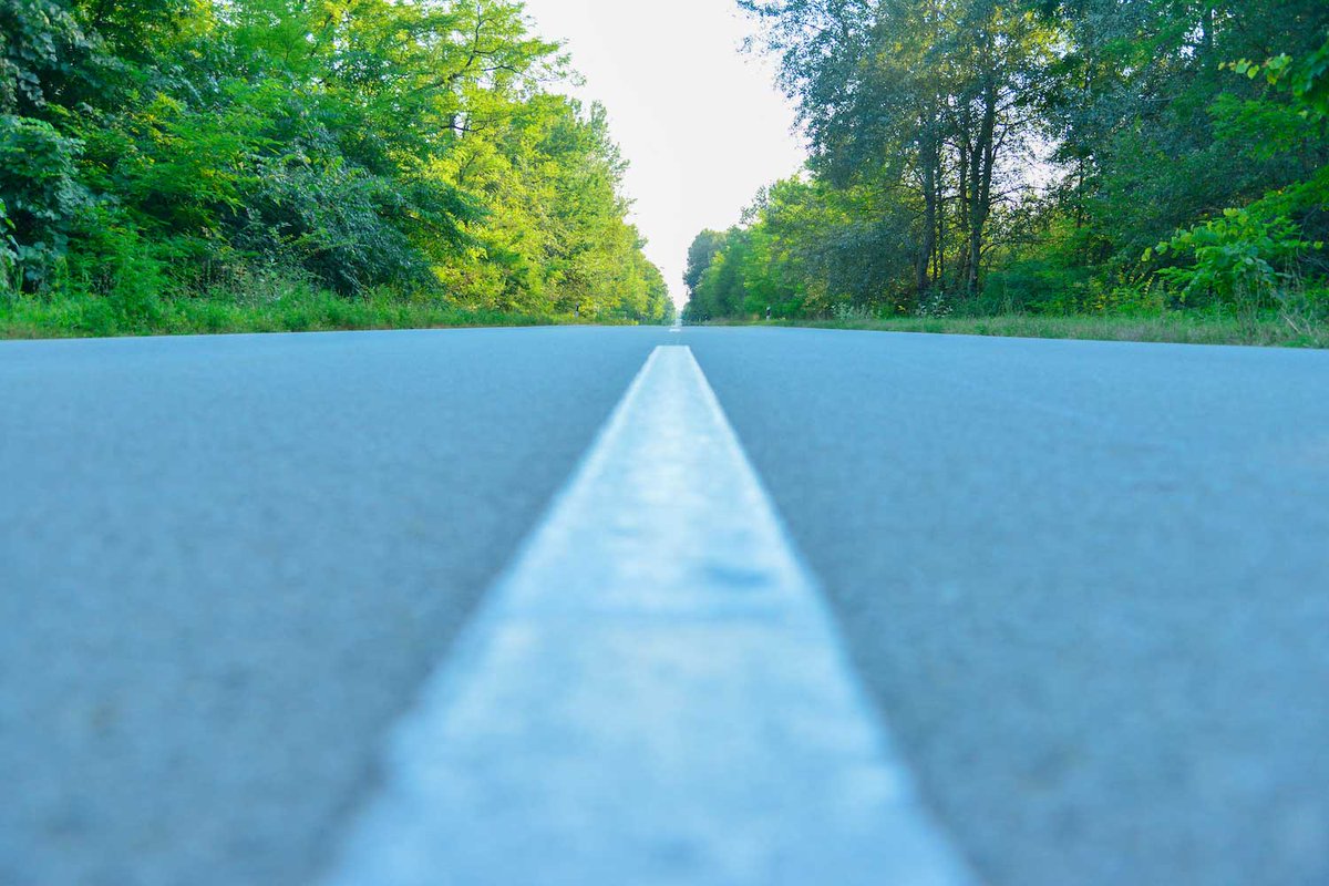 WillCoForests's tweet image. The Spring Preserve Challenge returns today with a Route 66–themed Get Your Kicks Challenge. Complete missions, earn prizes, and score swag through July 31. Download Goosechase and get ready to join the fun! 

📸: Shutterstock

#WillCoForests #SpringChallenge #Route66