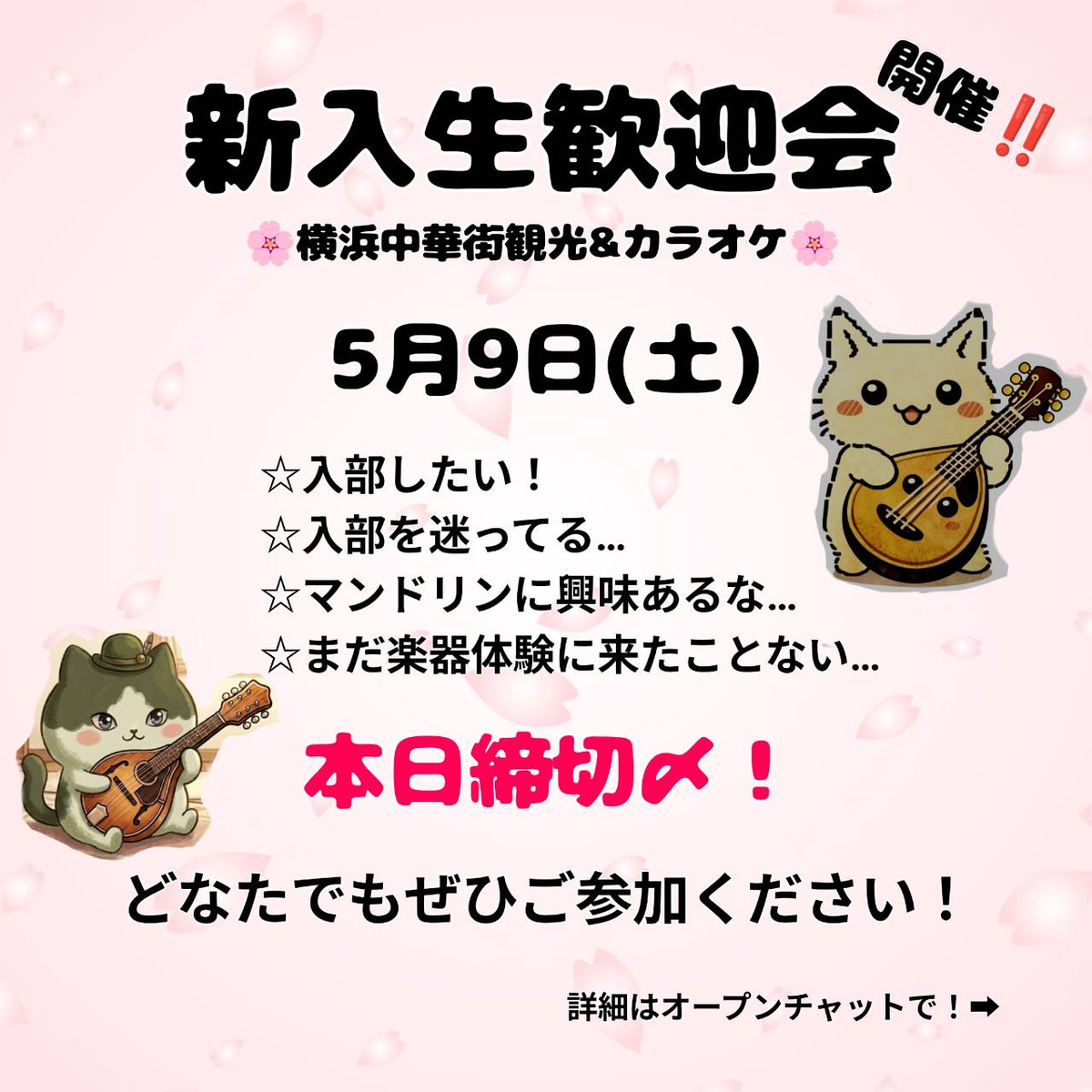 kme_shinkan's tweet photo. みんな久しぶりぃ〜！！🔆｡°
元気してたかな〜👀
今日は新入生歓迎会の告知をしに来たよぉ✨
みんなと会うの楽しみなんだ〜
ぜひ来てね〜！(ᐢ⸝⸝ᴖ ·̫ ᴖ⸝⸝ᐢ)
 #春から神奈川大学 https://t.co/zRvaHtOdW4