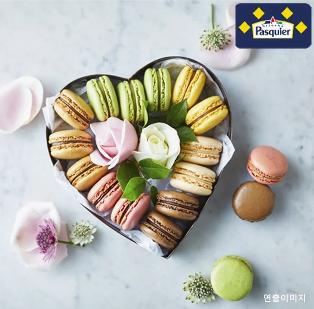 쌀쌀무타르트🍚 tweet media