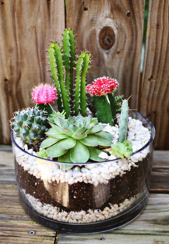 🌿✨ Pebble craft ideas—turn garden stones into stunning décor. 👉 Read more: buff.ly/REso1Yx

#PebbleCraft #HomeDecorGoals #DIYBuzz #Threads #WeRIndia